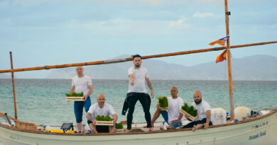 La campaña ‘Replantados’, desarrollada por MeMe para Cofidis, pone el foco en la sostenibilidad con la replantación de 1.500 ejemplares de posidonia oceánica